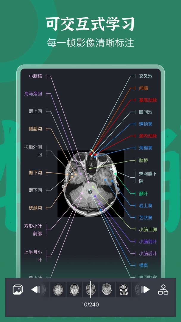 万康人体解剖免费版