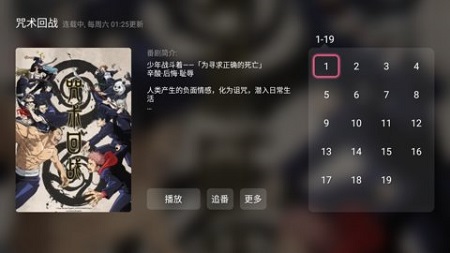 哔哩哔哩第三方TV版