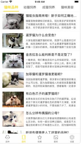 猫猫生活圈